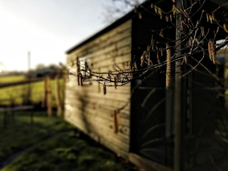 Penn Bergeyn Shepherd'S Huts Exeter Exterior foto